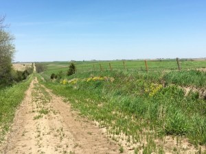 Walnut Ave., Adair County