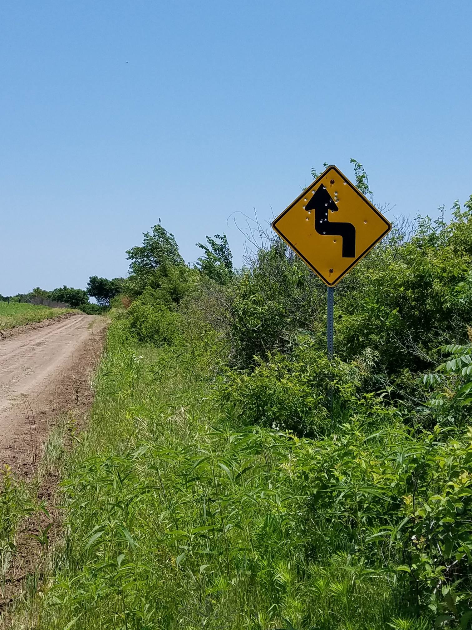 35963599_1784420301646305_1587380222808817664_o